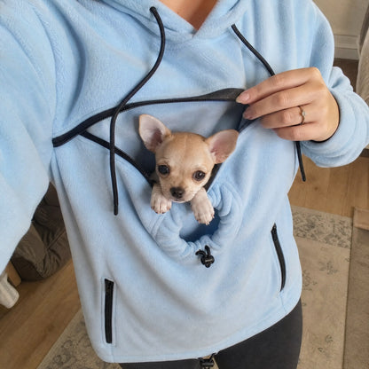 Cucciolo di chihuahua dentro la tasca interna della felpa azzurra